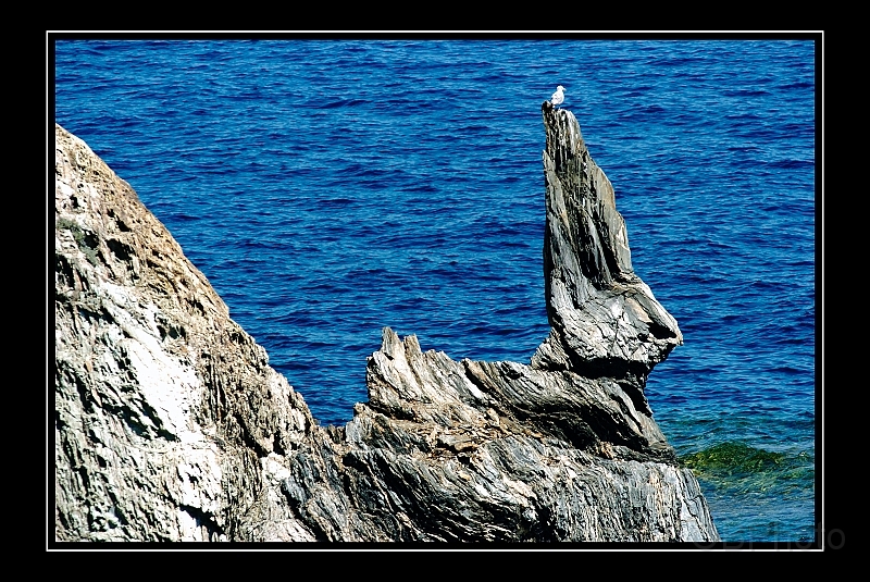 070713_PIGiens_31 copie.jpg